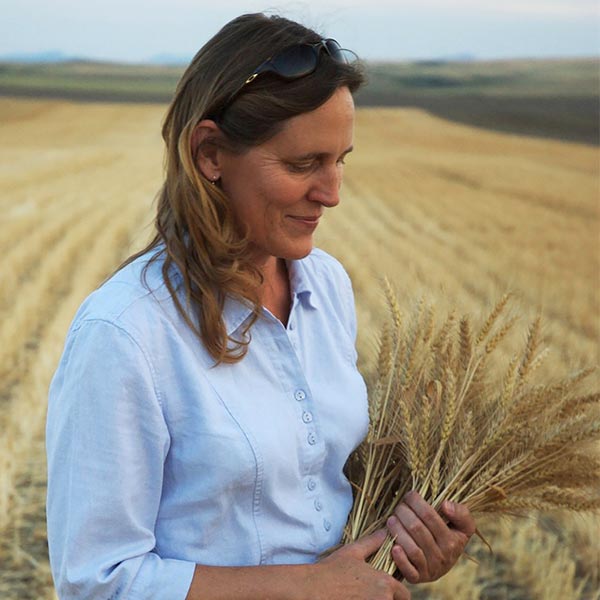 A photo of a woman holding stalks of wheat in a Montana wheat field