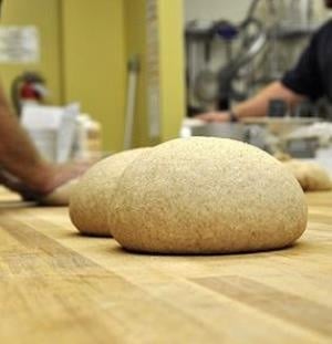 Photo of a whole Wheat loaf of dough sitting on a kneading table 